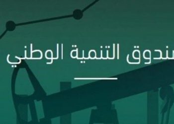 صندوق التنمية الوطنية