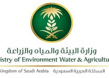 توجه لإطلاق صندوق البيئة لخلق استدامة مالية بالقطاع