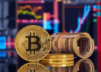 أصول صندوق «غرايسكايل بتكوين ترست» ترتفع 13.1 مليار دولار بعد الاهتمام المتزايد على العملات الرقمية