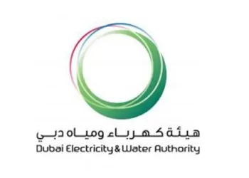 اكتتاب ديوا.. نسب تخصيص ضئيلة ولا نصيب لشركات الصناديق الاستثمارية