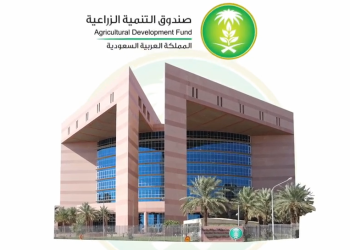 صندوق التنمية الزراعية: برنامج جديد لتمويل المشاريع الابتكارية