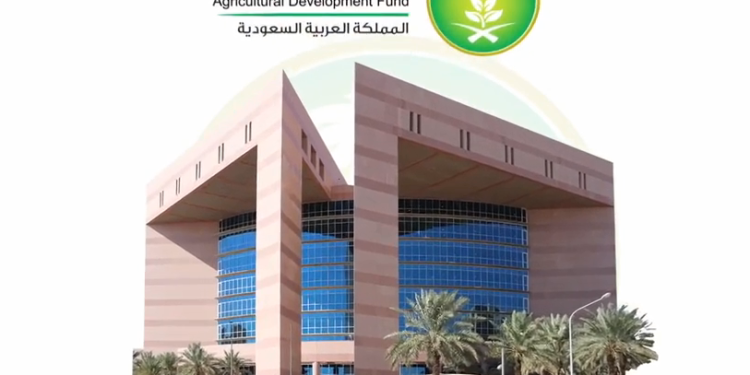 صندوق التنمية الزراعية: برنامج جديد لتمويل المشاريع الابتكارية